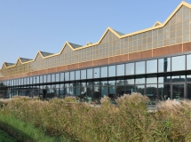 Tractieweg